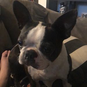 This post is a return for wrong item received